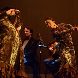 Fotografía de Talleres Baile Flamenco - Conservatorio de Danza