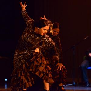 Fotografía de Talleres Baile Flamenco - Conservatorio de Danza