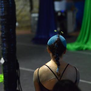 Fotografía de La selva - La Viruta