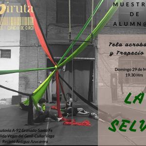 Fotografía de La selva - La Viruta