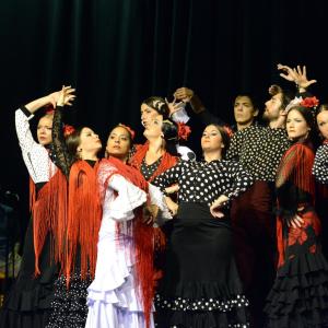Fotografía de Muestra de Graduación en el Conservatorio de Danza - Conservatorio de Danza