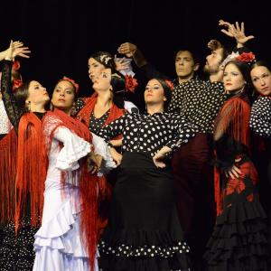 Fotografía de Muestra de Graduación en el Conservatorio de Danza - Conservatorio de Danza