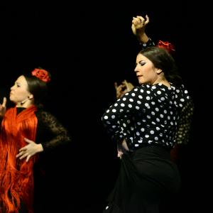 Fotografía de Muestra de Graduación en el Conservatorio de Danza - Conservatorio de Danza