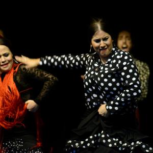 Fotografía de Muestra de Graduación en el Conservatorio de Danza - Conservatorio de Danza
