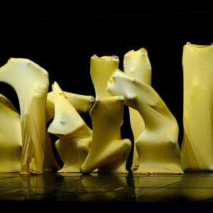 Fotografía de Muestra de Graduación en el Conservatorio de Danza - Conservatorio de Danza