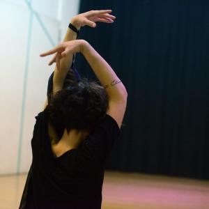Fotografía de El día de la danza o día del sexo - Vladimir Tzekov