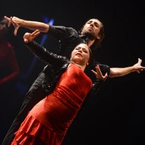 Fotografía de Trazos - Conservatorio de Danza