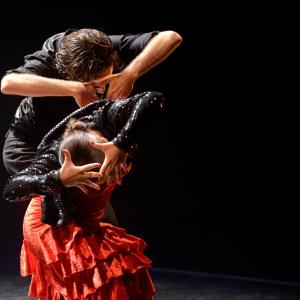 Fotografía de Trazos - Conservatorio de Danza