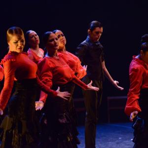 Fotografía de Trazos - Conservatorio de Danza
