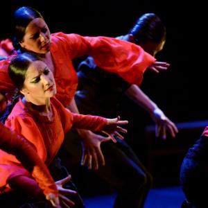Fotografía de Trazos - Conservatorio de Danza