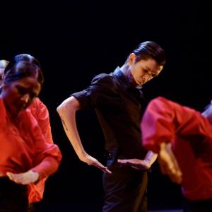 Fotografía de Trazos - Conservatorio de Danza
