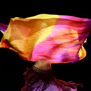 Fotografía de Muestra de danza del vientre - Manuela Caballero