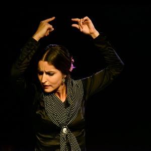 Fotografía de Micro Flamenco - Irene la Serranilla