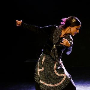 Fotografía de Micro Flamenco - Irene la Serranilla