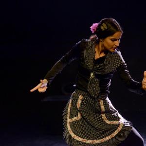 Fotografía de Micro Flamenco - Irene la Serranilla