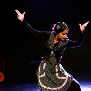 Fotografía de Micro Flamenco - Irene la Serranilla
