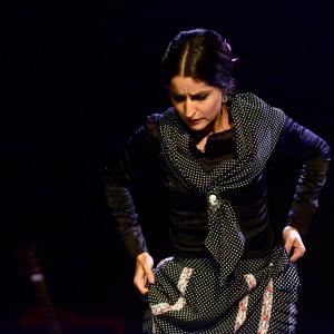 Fotografía de Micro Flamenco - Irene la Serranilla