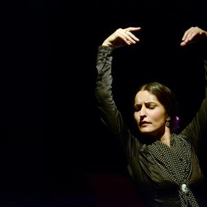 Fotografía de Micro Flamenco - Irene la Serranilla