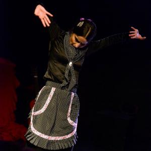 Fotografía de Micro Flamenco - Irene la Serranilla