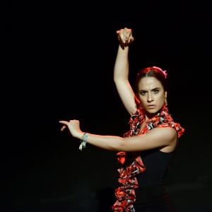 Fotografía de Micro Flamenco - Irene la Serranilla