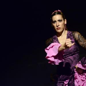 Fotografía de Micro Flamenco - Irene la Serranilla