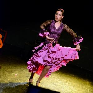 Fotografía de Micro Flamenco - Irene la Serranilla