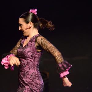 Fotografía de Micro Flamenco - Irene la Serranilla