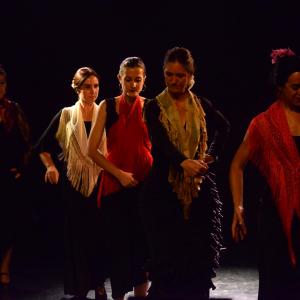 Fotografía de Micro Flamenco - Irene la Serranilla