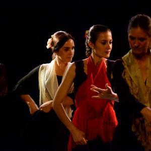 Fotografía de Micro Flamenco - Irene la Serranilla