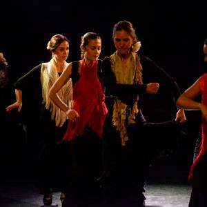 Fotografía de Micro Flamenco - Irene la Serranilla