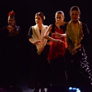 Fotografía de Micro Flamenco - Irene la Serranilla