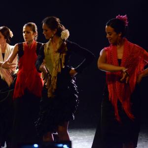 Fotografía de Micro Flamenco - Irene la Serranilla