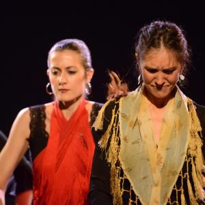 Fotografía de Micro Flamenco - Irene la Serranilla