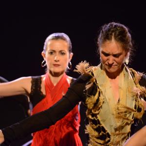 Fotografía de Micro Flamenco - Irene la Serranilla