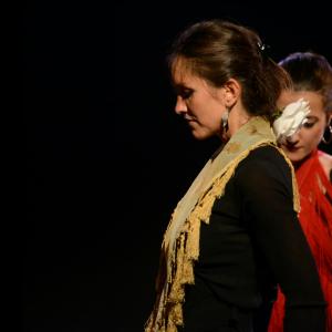 Fotografía de Micro Flamenco - Irene la Serranilla