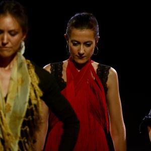 Fotografía de Micro Flamenco - Irene la Serranilla