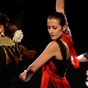 Fotografía de Micro Flamenco - Irene la Serranilla