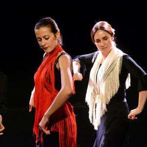 Fotografía de Micro Flamenco - Irene la Serranilla