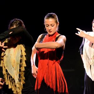 Fotografía de Micro Flamenco - Irene la Serranilla