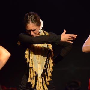Fotografía de Micro Flamenco - Irene la Serranilla