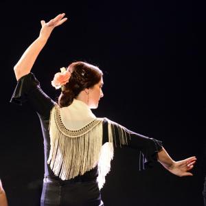 Fotografía de Micro Flamenco - Irene la Serranilla