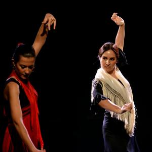 Fotografía de Micro Flamenco - Irene la Serranilla