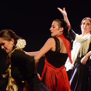 Fotografía de Micro Flamenco - Irene la Serranilla