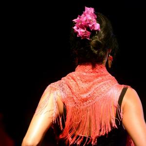 Fotografía de Micro Flamenco - Irene la Serranilla