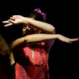 Fotografía de Micro Flamenco - Irene la Serranilla