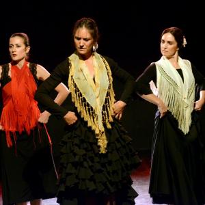 Fotografía de Micro Flamenco - Irene la Serranilla