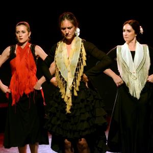Fotografía de Micro Flamenco - Irene la Serranilla