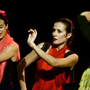 Fotografía de Micro Flamenco - Irene la Serranilla