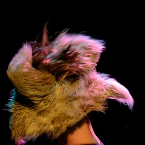 Fotografía de Yo quiero bailar toda la noche - Proyecto Pelo