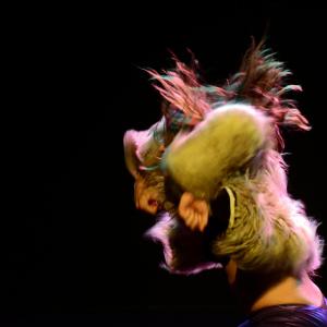 Fotografía de Yo quiero bailar toda la noche - Proyecto Pelo